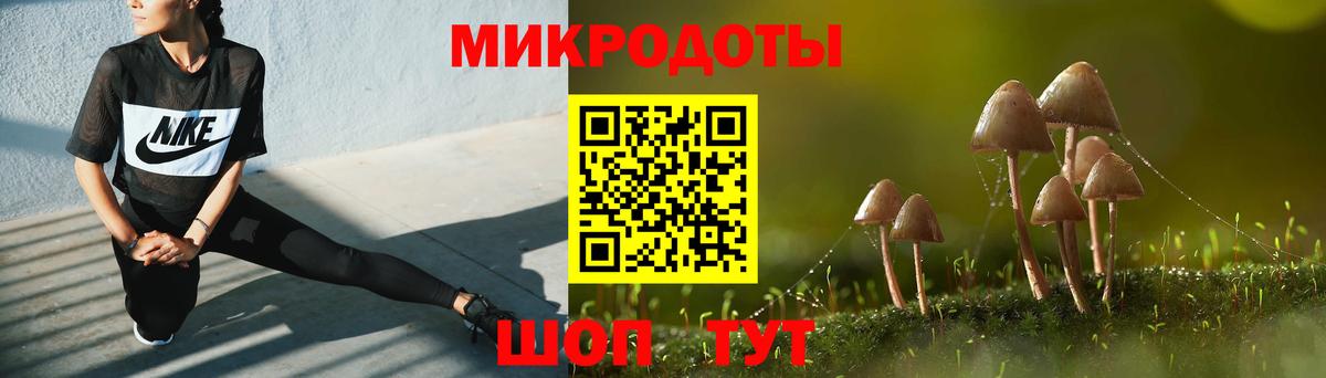 Гусев  Галлюциногенные грибы мицелий  Вход с VPN 